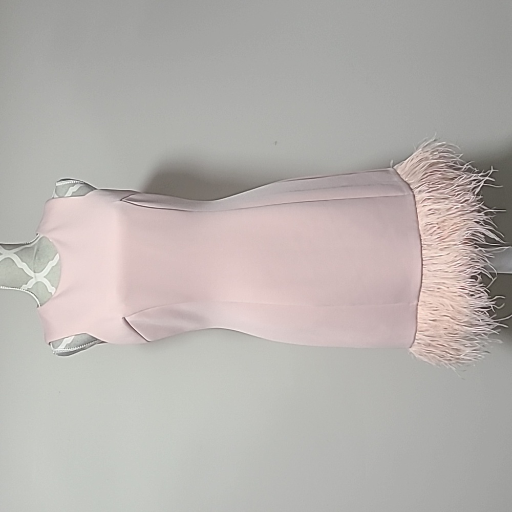 Elegant Pink Feather Hem Dress